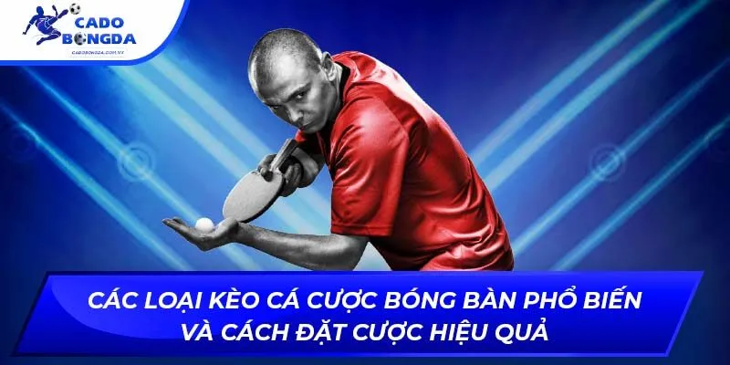 Các loại kèo cá cược bóng bàn phổ biến và cách đặt cược hiệu quả