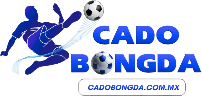 Cá Độ Bóng Đá