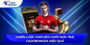 Kèo chấp nửa trái