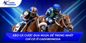 kèo cá cược đua ngựa