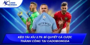 kèo tài xỉu 2.75