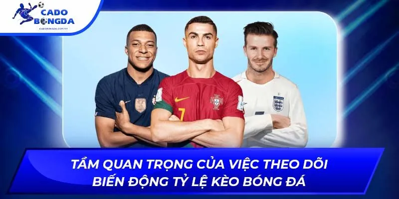 Tầm quan trọng của việc theo dõi biến động tỷ lệ kèo bóng đá