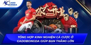 kinh nghiệm cá cược