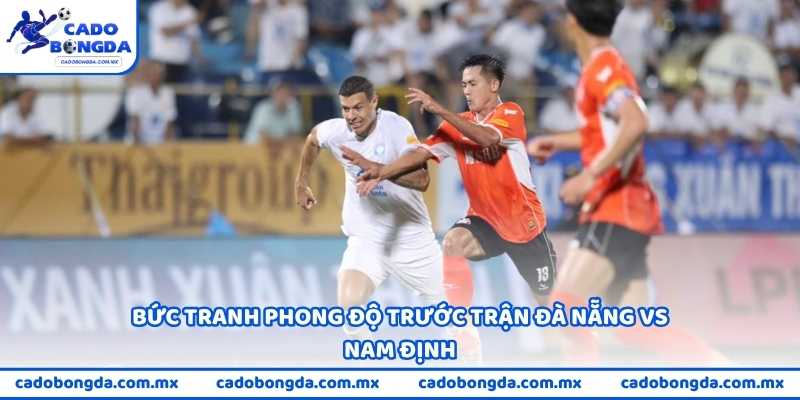 Bức tranh phong độ trước trận Đà Nẵng vs Nam Định