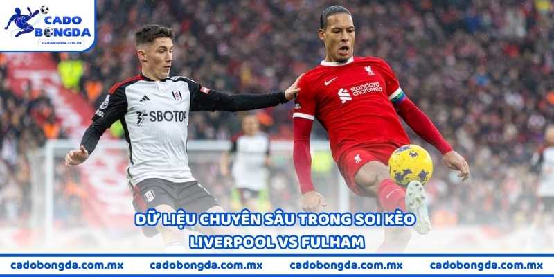 Dữ liệu chuyên sâu trong soi kèo Liverpool vs Fulham