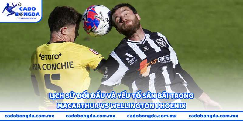 Lịch sử đối đầu và yếu tố sân bãi trong Macarthur vs Wellington Phoenix