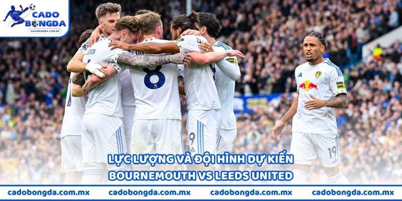 Lực lượng và đội hình dự kiến Bournemouth vs Leeds United